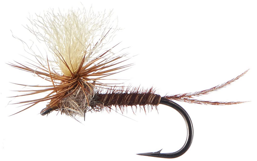 フライのアップ写真