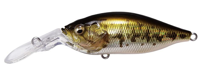 ルアーのアップ写真