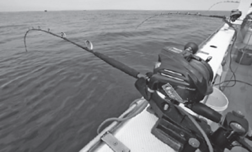 タックルの写真