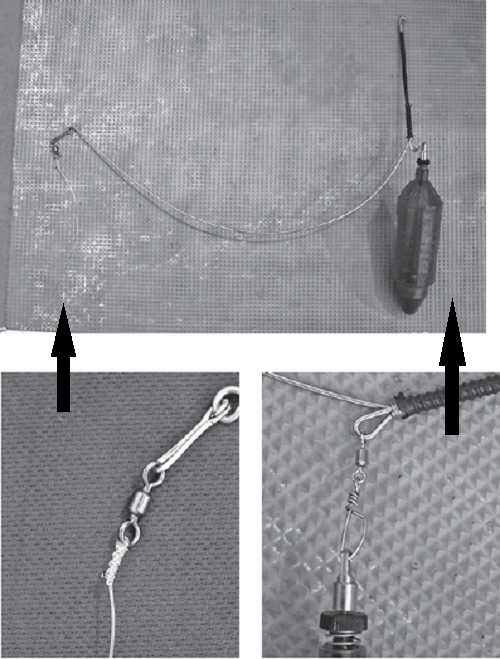 テンビンの写真