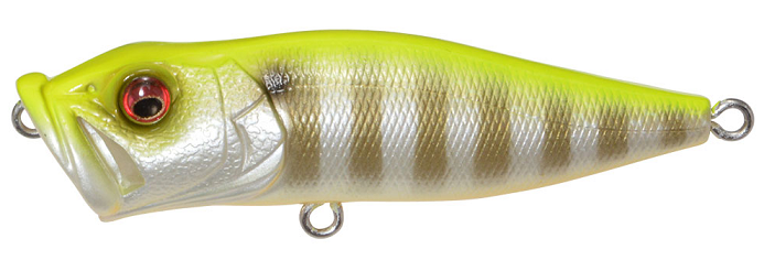 ルアーのアップ写真