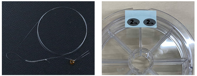 ラインのアップ写真