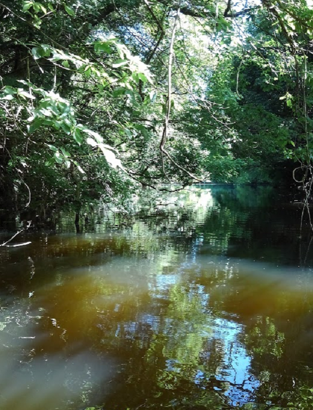 釣り場の遠景写真
