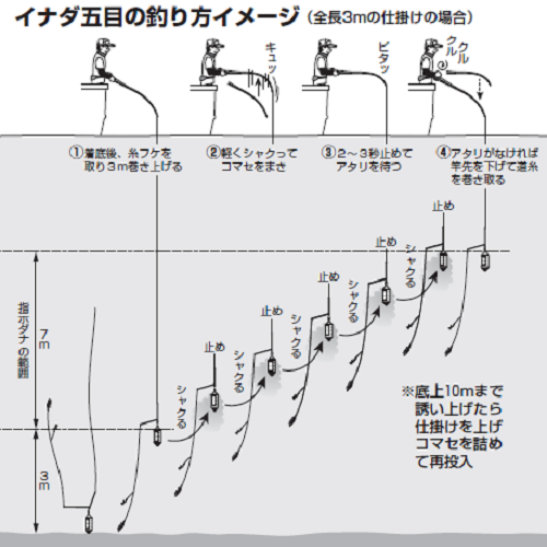 相模湾のイナダ五目