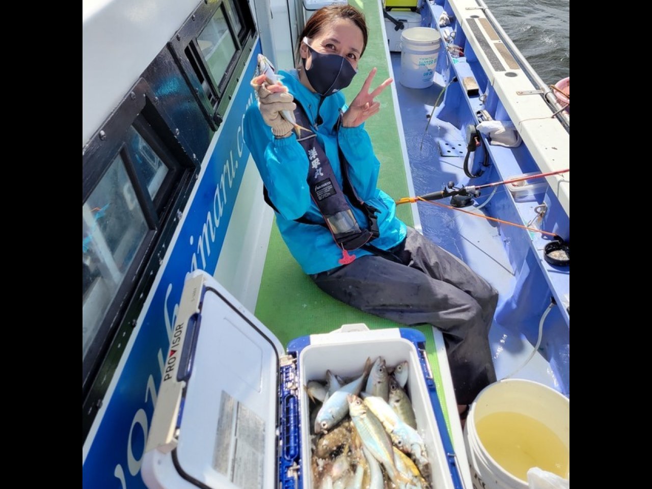 【釣果速報】千葉県洋平丸でアジ一日好調!50匹前後の好釣果を出す釣り客多数!あなたも記録更新を狙ってみませんか?