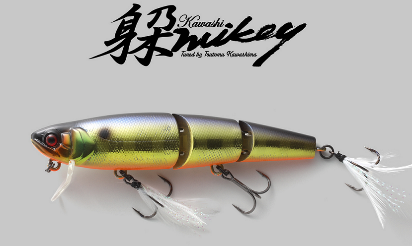 ルアーのアップ写真