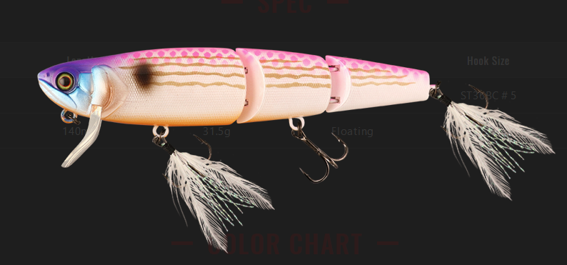 ルアーのアップ写真