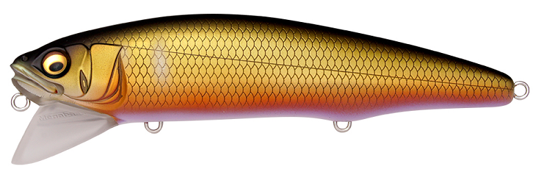 ルアーのアップ写真