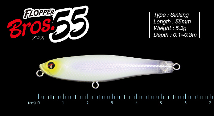 ルアーのアップ写真