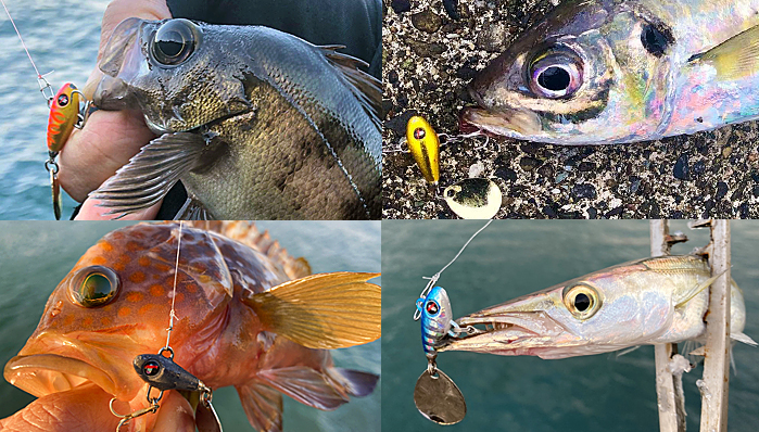 魚とルアーのアップ写真