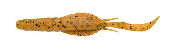 ワームのアップ写真