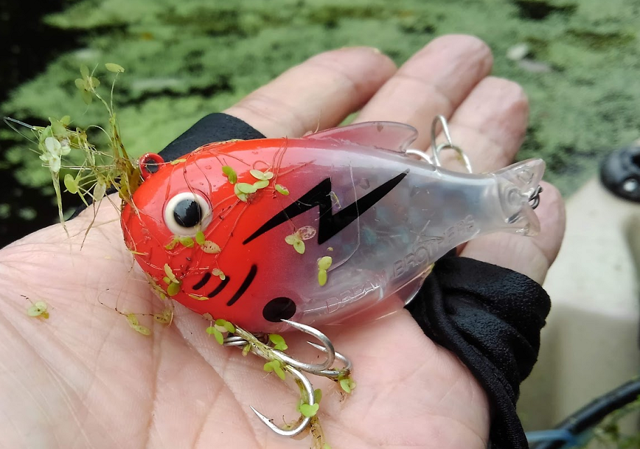 ルアーのアップ写真