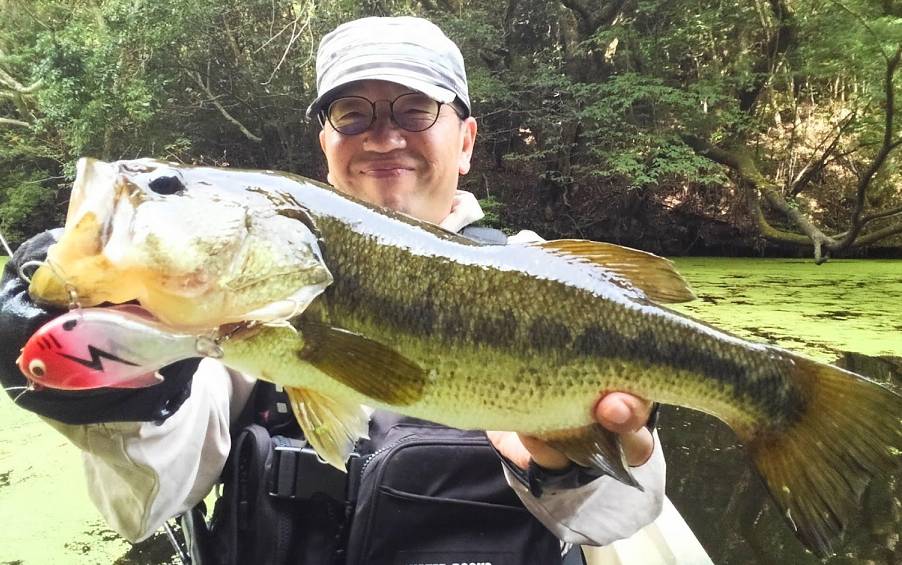 魚とルアーのアップ写真