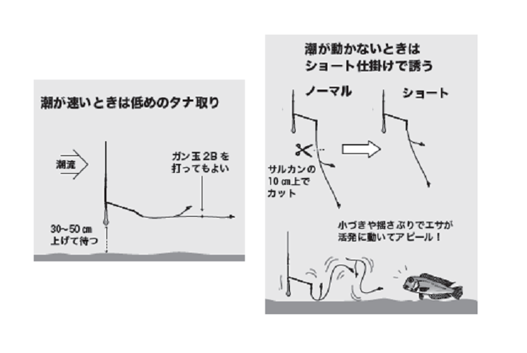 小さな秋の遊び方 アマダイ 赤を愛で白を夢見て相模湾