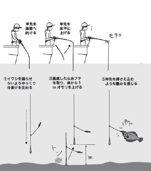 小さな秋の遊び方③】ヒラメ～自分だけ釣れないときはココを確認～