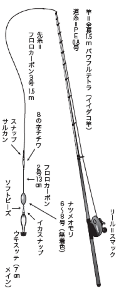 小さな秋の遊び方 イイダコ テンヤの基本 大西了路のスッテ釣法