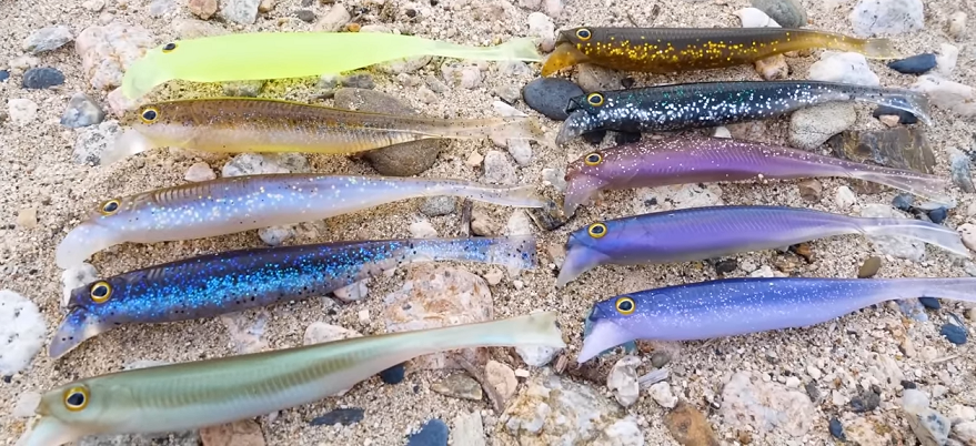 ワームのアップ写真