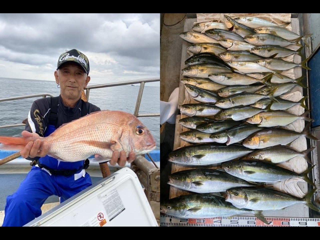 【釣果速報】三重県三幸丸でハマチが入れ食い！カンパチ・ワラサ・マダイなど人気魚種も確保！このチャンス、絶対逃さないで！