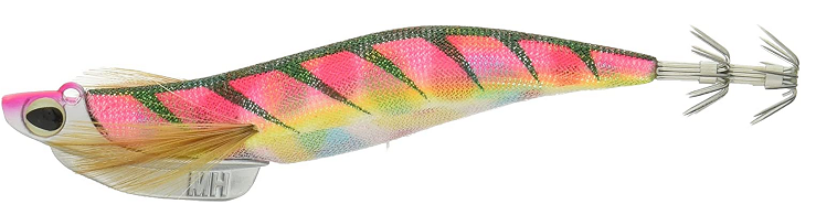 エギのアップ写真