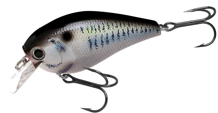 ルアーのアップ写真