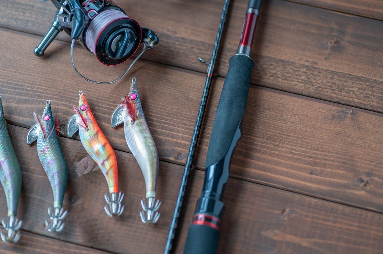 エギング用釣り具の写真