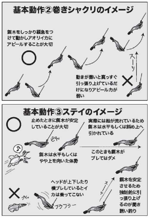 アオリイカ 理論派 山中陽介のティップ ラン