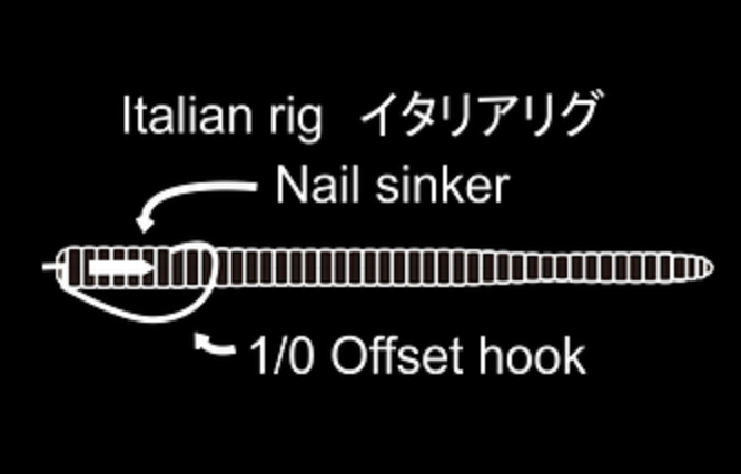 ワームのイラスト