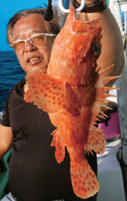 釣り人の写真