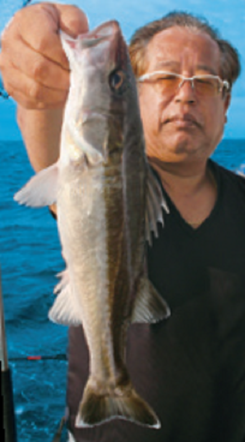 釣り人の写真