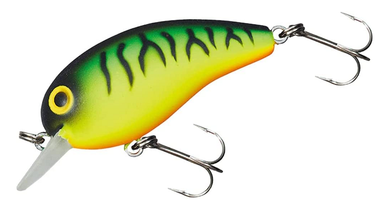 ルアーのアップ写真