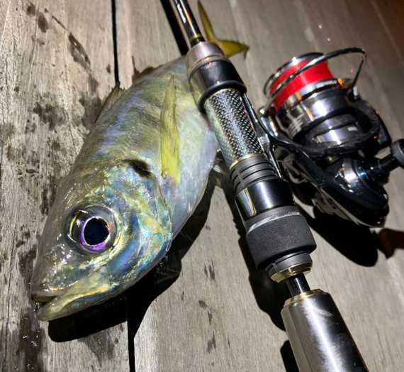 魚とロッドのアップ写真