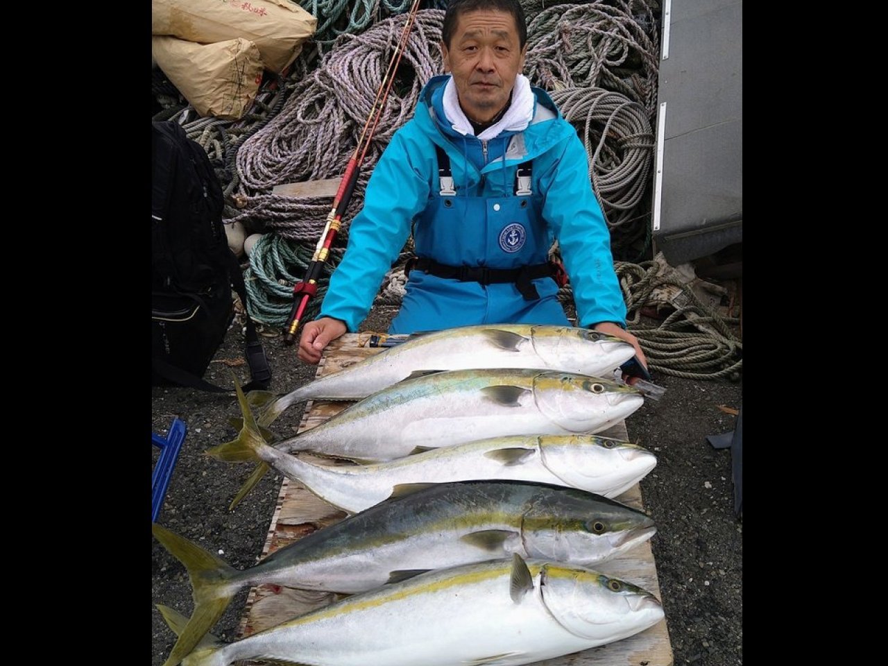 【釣果速報】神奈川県愛正丸でワラサが絶好調!40cmのデカアジもキャッチ!これから落とし込み釣りがどんどん盛り上がってきますよ!