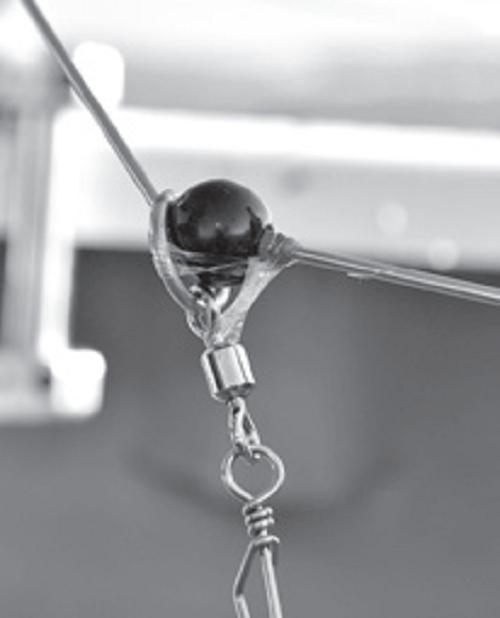 テンビンの写真