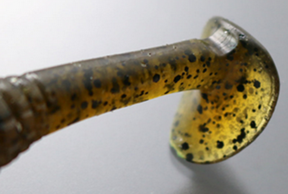 ワームのアップ写真