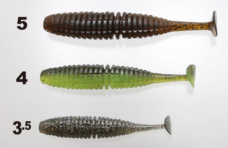 ワームのアップ写真