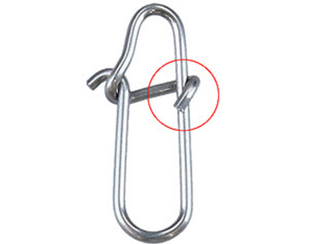 スナップのアップ写真