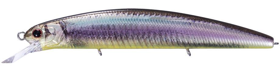 ルアーのアップ写真