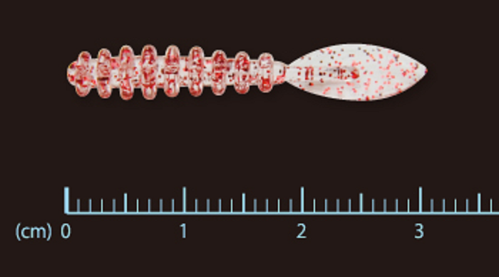 ワームのアップ写真