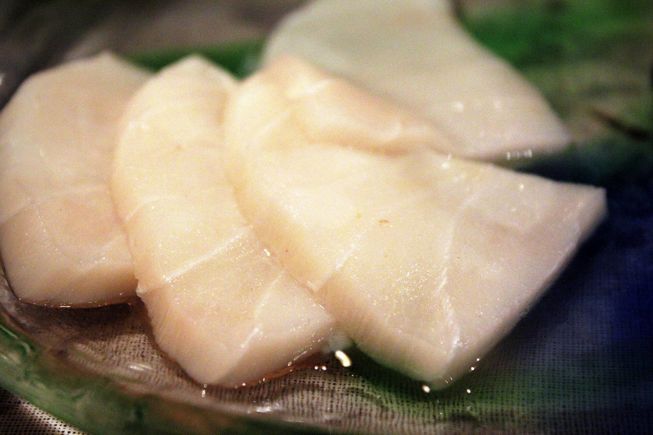 バラムツの写真