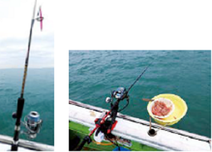 タックルの写真