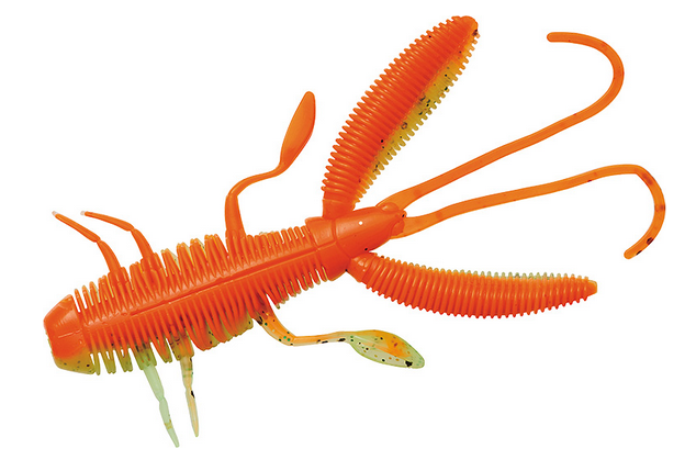 ワームのアップ写真