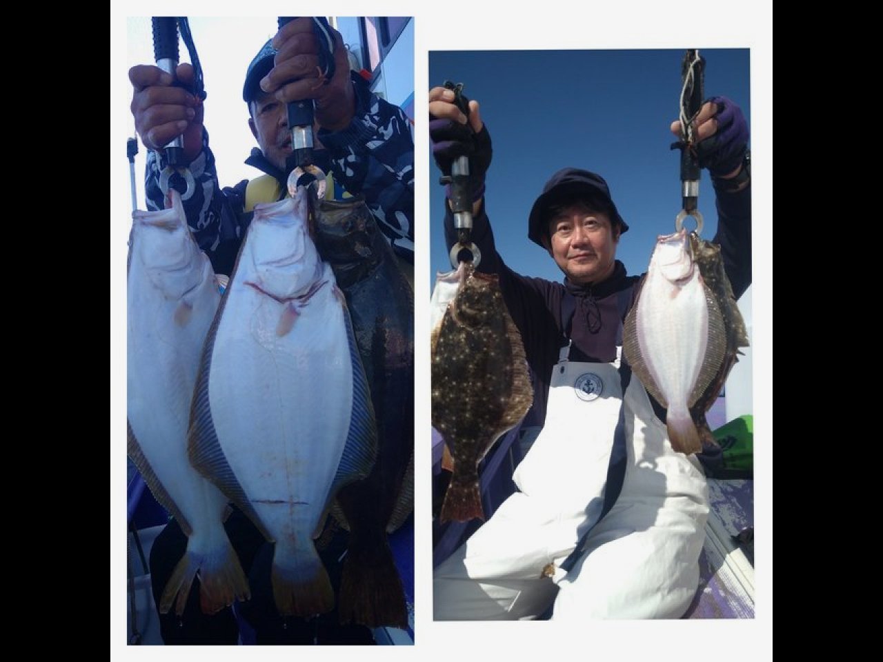 【釣果速報】1kgオーバーの良型ヒラメが同時＆連続ヒット！千葉県春栄丸でヒラメのアタリを思う存分感じよう！
