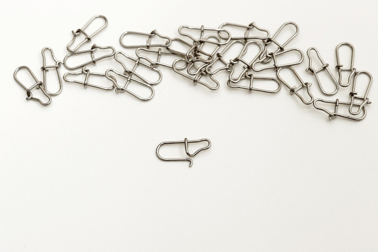 スナップの写真