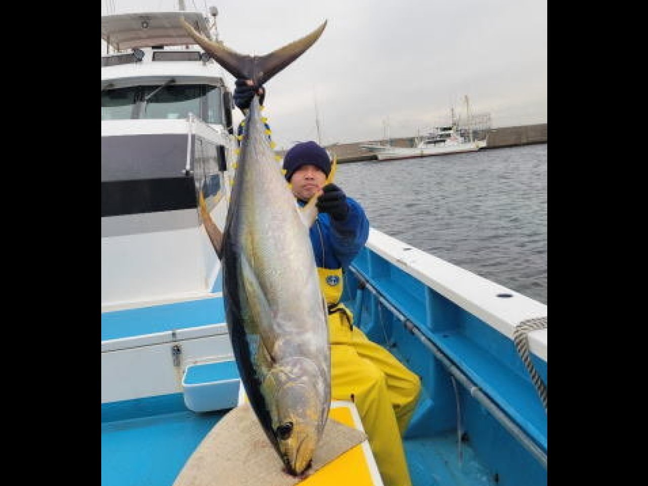 【釣果速報】神奈川県成銀丸でカツオ全員キャッチ達成!31.8kgキハダも確保!キハダはシーズン終盤につき早めにご予約を!
