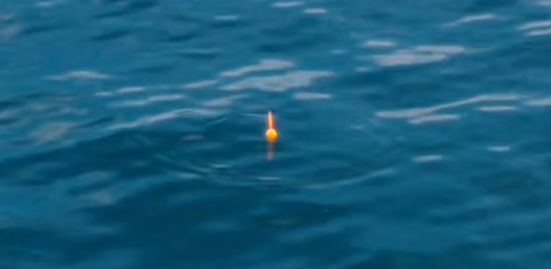 ウキのアップ写真