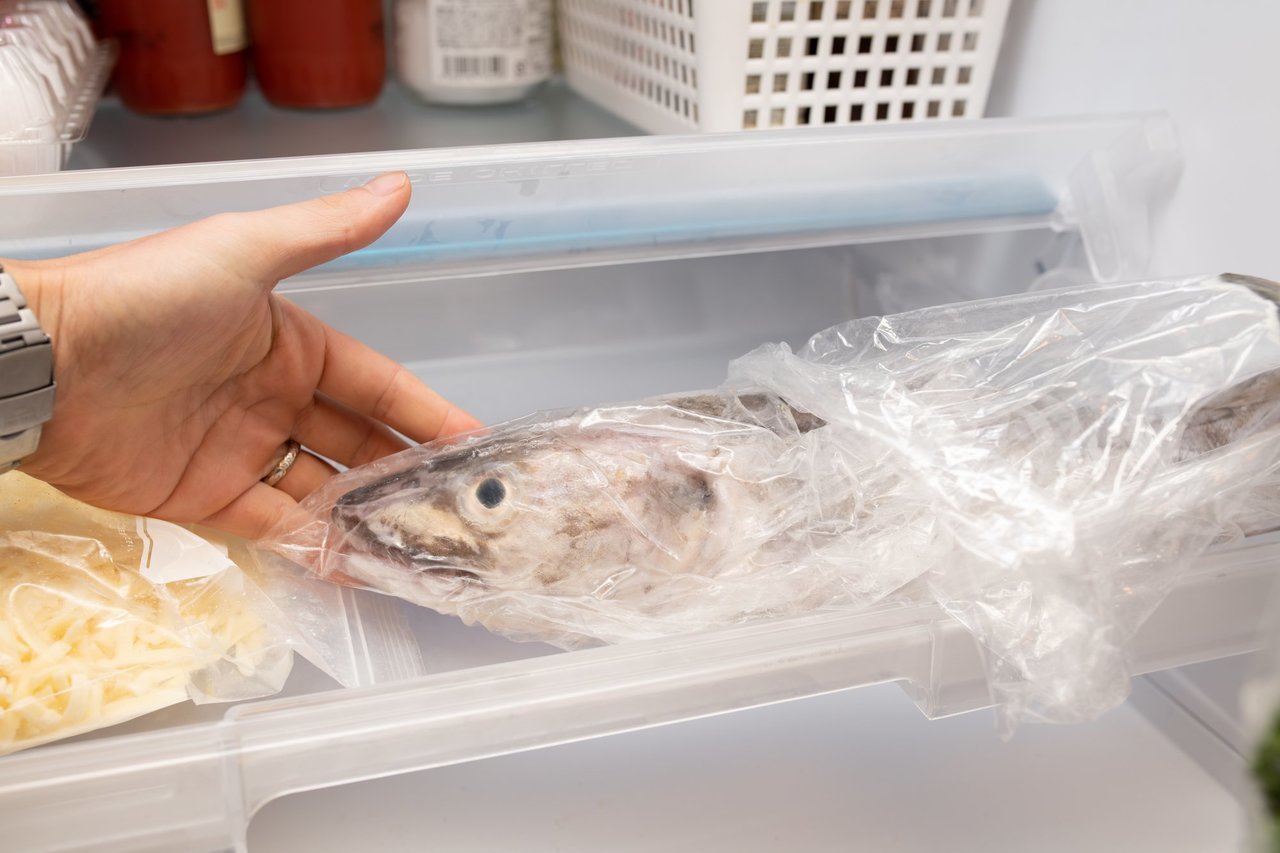 冷蔵庫と魚の写真
