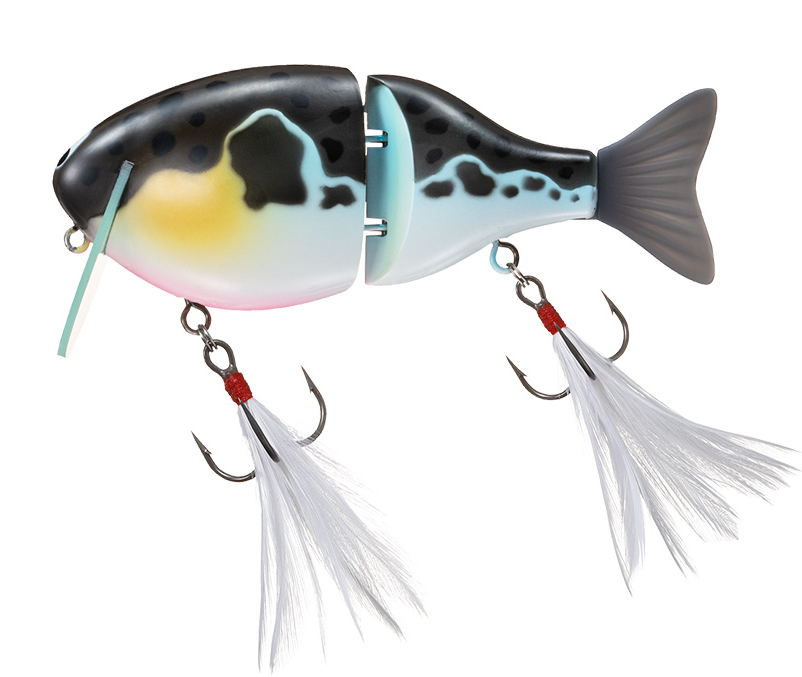 ルアーのアップ写真