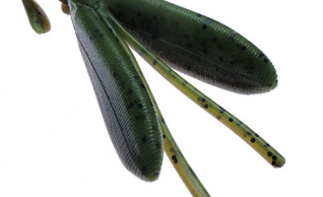 ワームのアップ写真