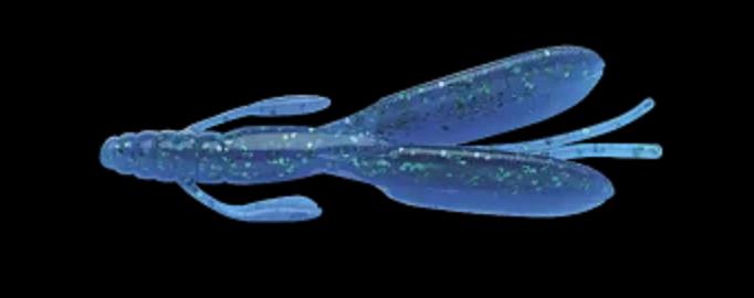 ワームのアップ写真