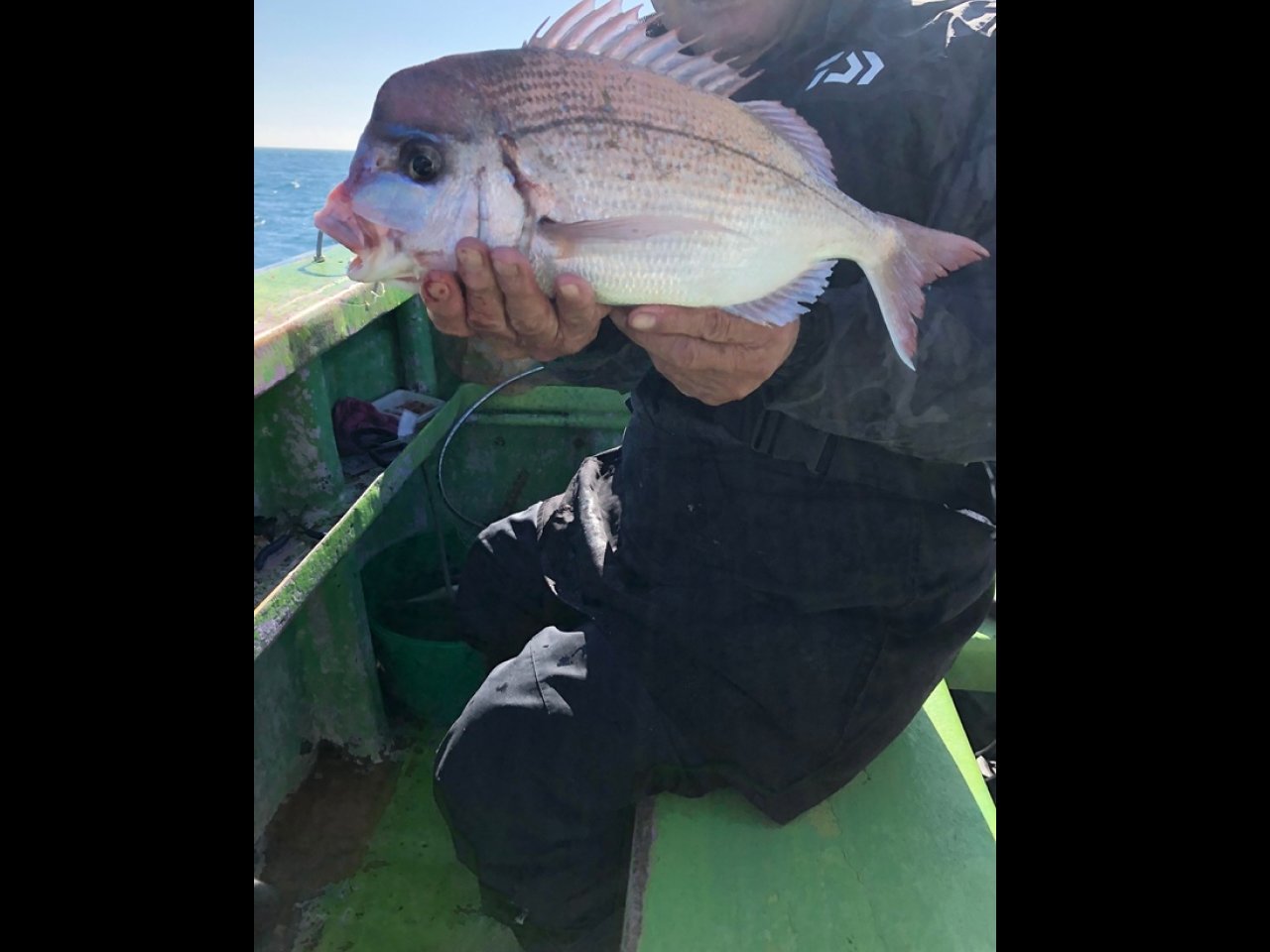 【釣果速報】ハナダイの引きが炸裂!ヒラメも2.3kgの大型ゲット!人気者を一気にゲットしたいなら千葉県第二新亀丸に決まり!